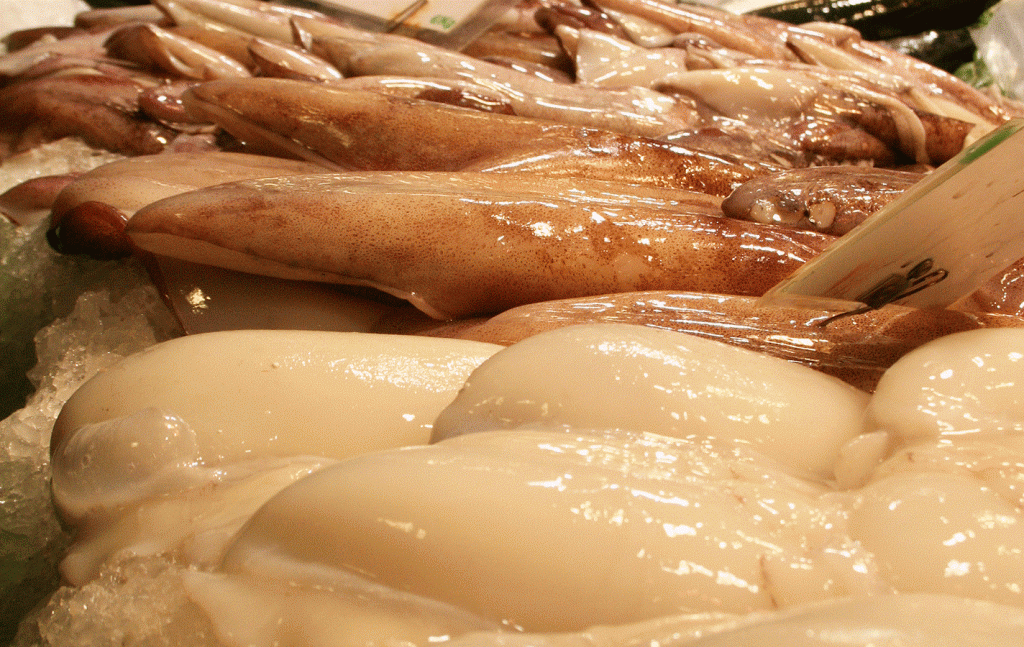 Growing cephalopods demand, tighter supplies and record prices